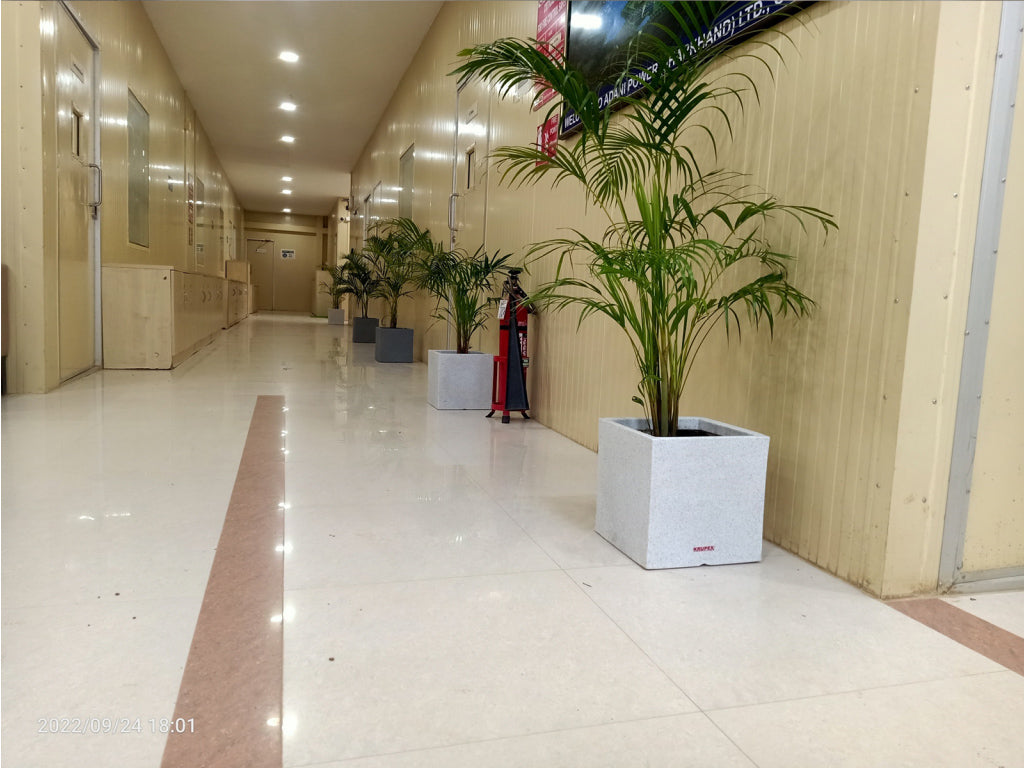 Marco Planter