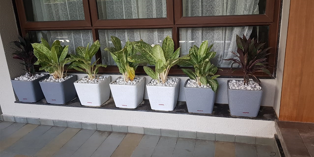 Rombus Planter