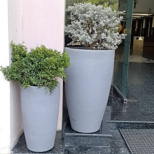 Tolly Planter