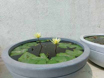 Jasper Planter