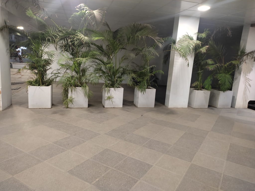 Marco Planter