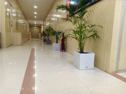 Marco Planter