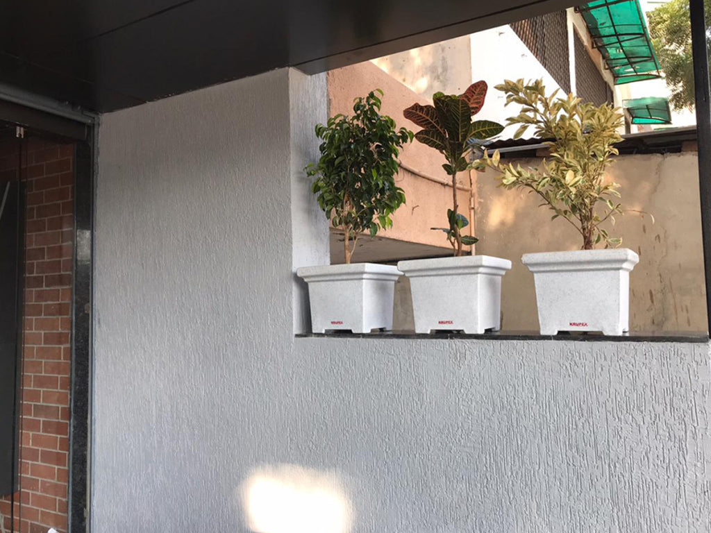 Crystal Planter