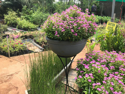Jasper Planter