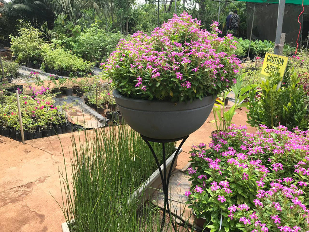 Jasper Planter