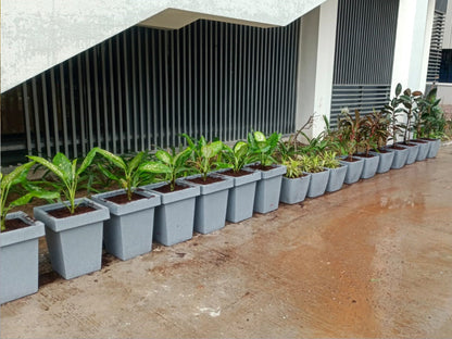 Tulip Planter