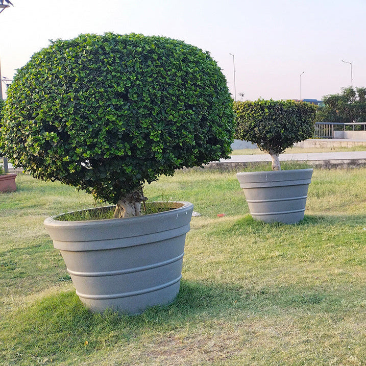Floral Planter