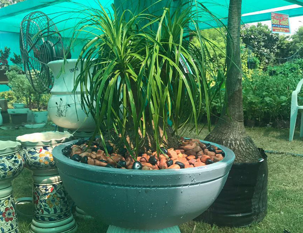 Jasper Planter