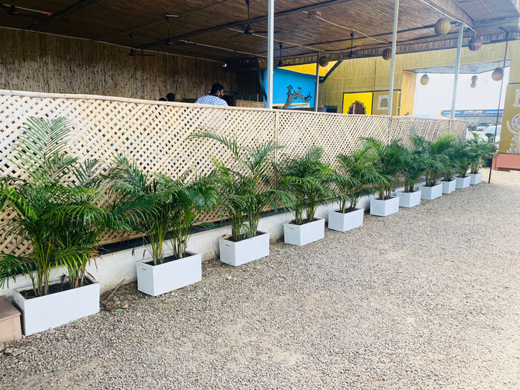 Reck Teck Planter