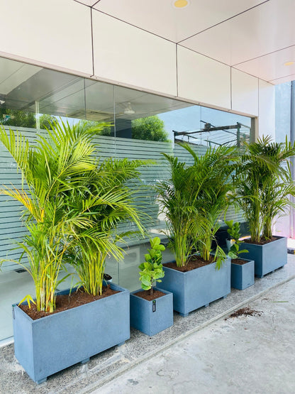 Boxy Planter