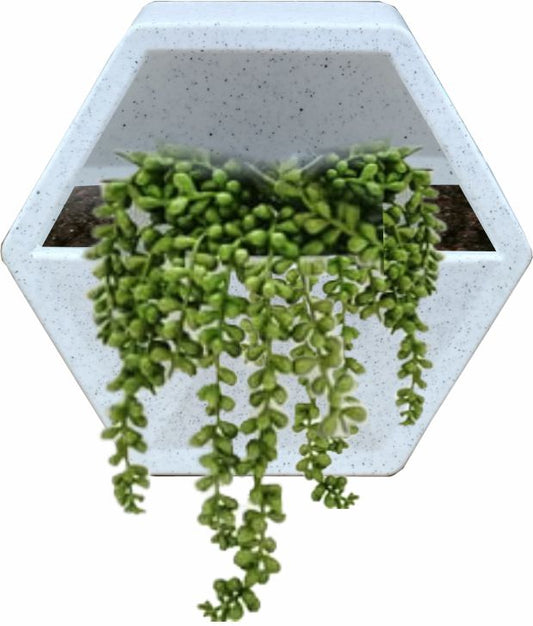 Gem Planter