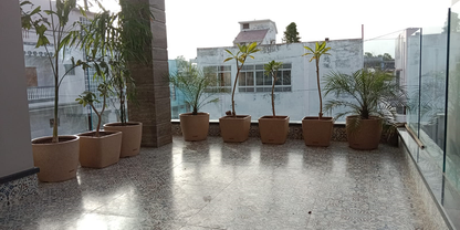 Pentas Planter