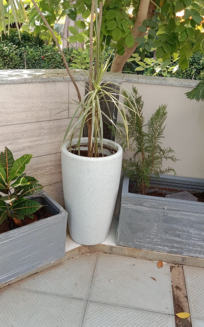 Tolly Planter