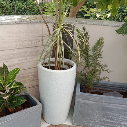 Tolly Planter