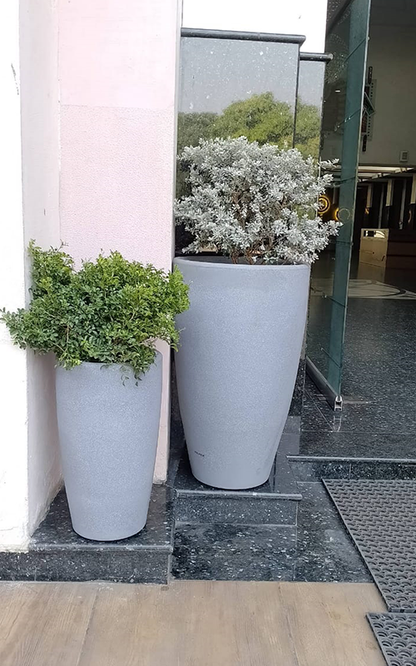 Tolly Planter