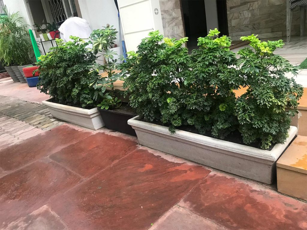 Vista Planter
